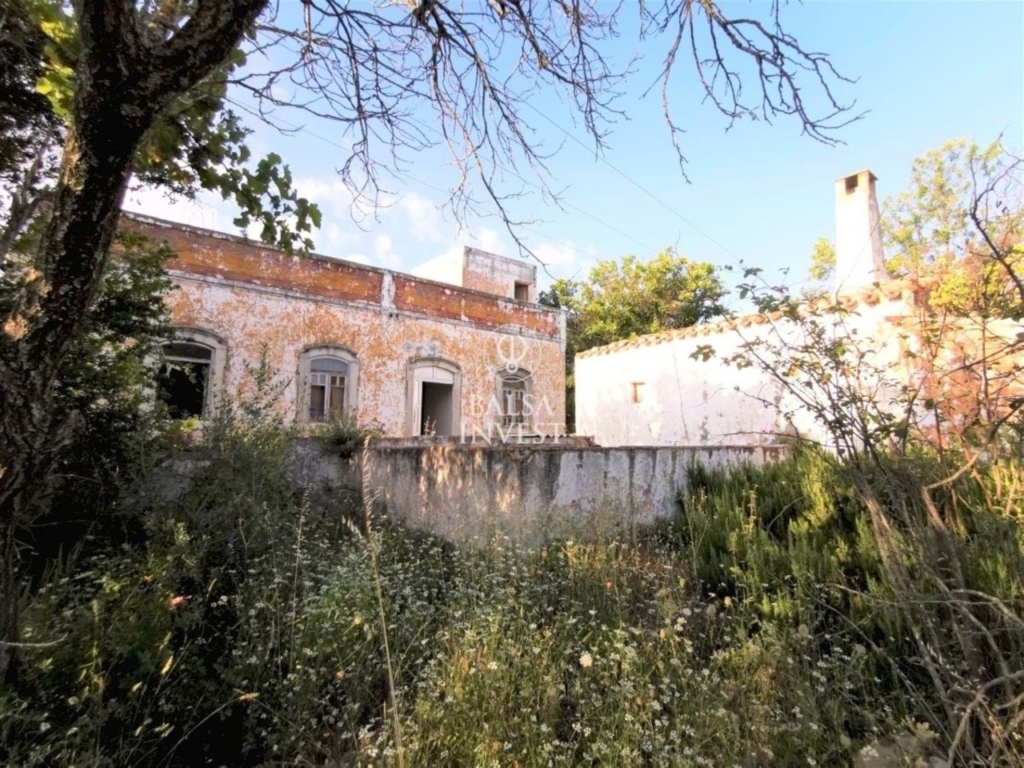 Loule 1 9b84785471e6a34054c5 xlarge