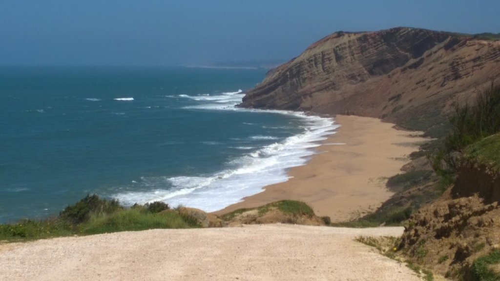 Excellent Plot of land for sale in S. Martinho do Porto 1 Photo10