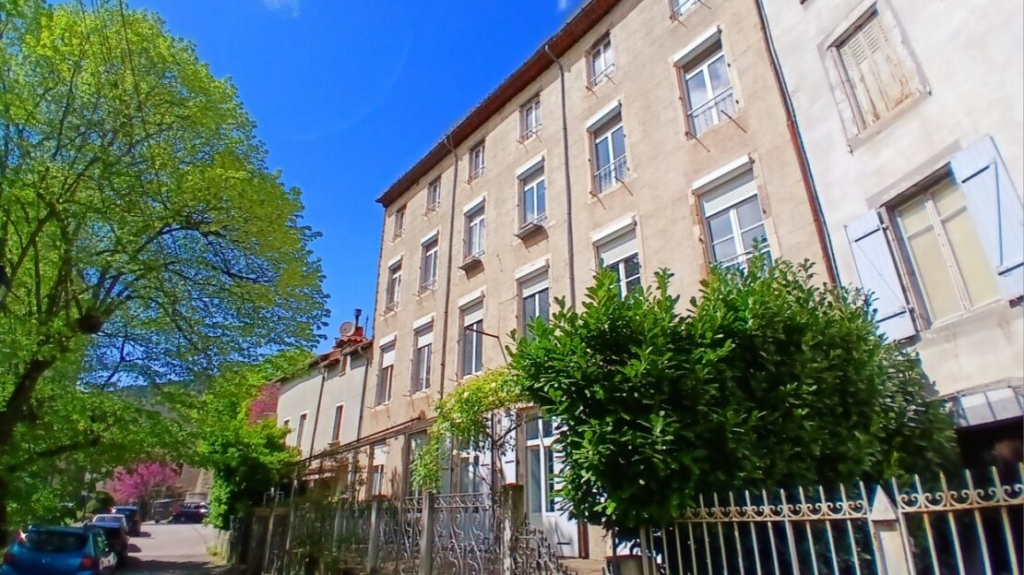 Magnificent Bourgeois House To Renovate With Over 500 M2 Of Living Space And A Front Terrace. Unique 1 STP253800EA 1110x623 1