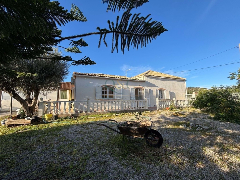 Loule 1 ad5d407411fae4d81050 xlarge