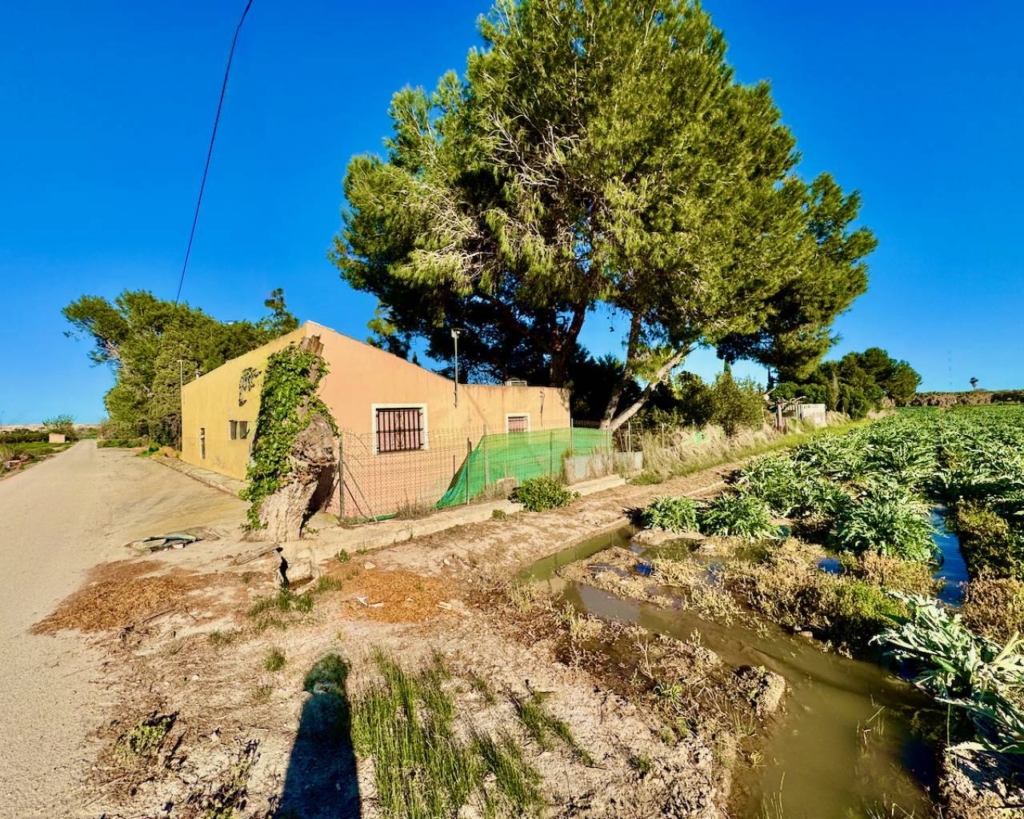 Guardamar del Segura 1 b4b7f4b7eac8eee130e2 xlarge