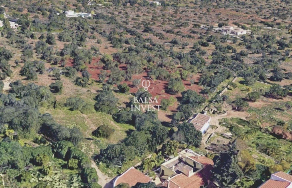 Santa Barbara de Nexe 1 d32a8776714451ab219a xlarge