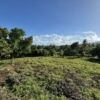 Land for sale in Las Galeras, Samana with lush greenery and open space.