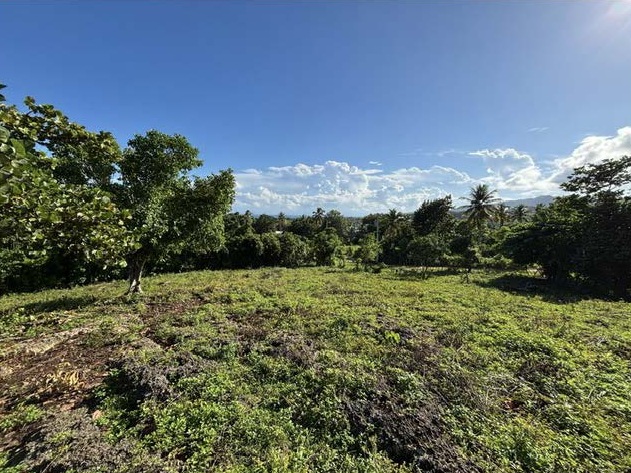 Excellent Plot of land for sale in Las Galeras, Samana Dominican 1 1 7 1