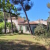 Beautiful villa surrounded by pine trees, 10 minutes from town center.