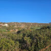 Land for sale in Agia Varvara Sisi, Crete with scenic mountain views.