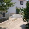 Spacious 5-bedroom house for sale in Los Collados, Albacete, featuring a charming exterior and lush.