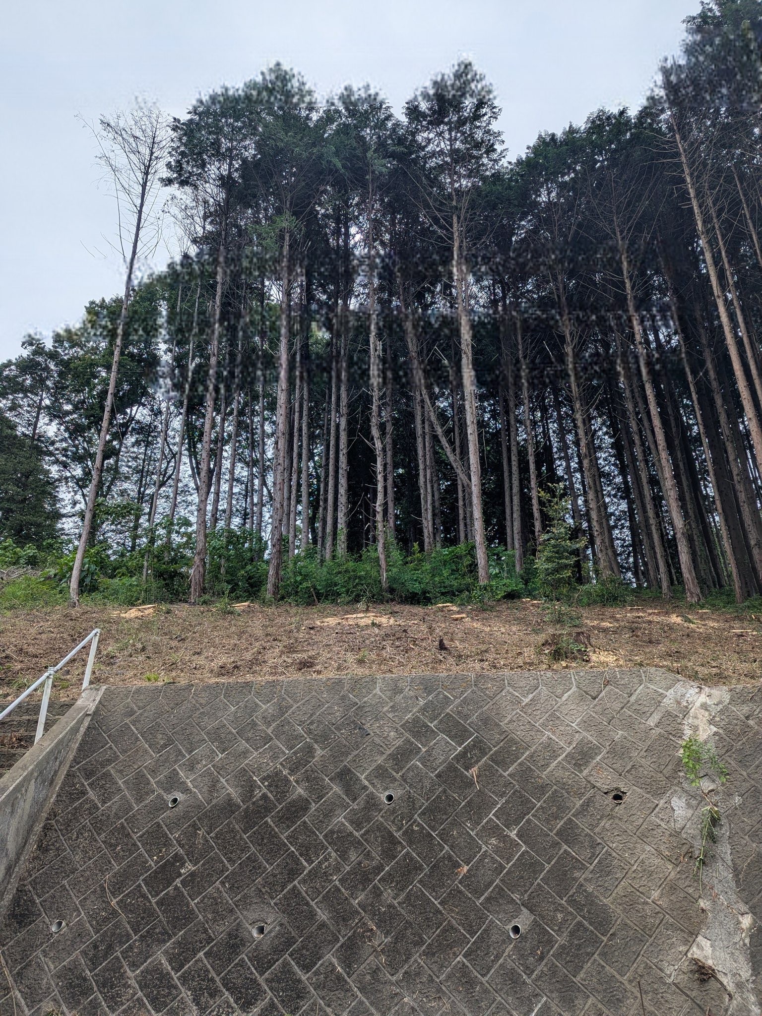 Excellent Plot of land for sale in Sakura 1 1 18 1