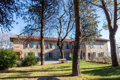 Podere Il Falco 1 10 3349526 691308674898668120