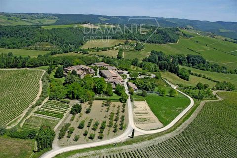 AZ294 - Organic Winery Estate spanning 132 hectares with a medieval village 1 10 4384780 370131953375357732