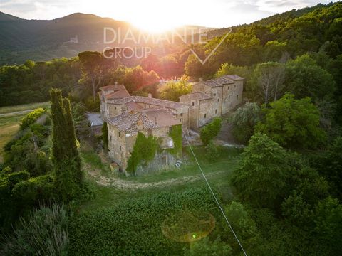 AZ329 - Agricultural and agritourism company with villa, apartments, farmhouse, and 45 hectares of land 1 10 4737145 211899585498795315