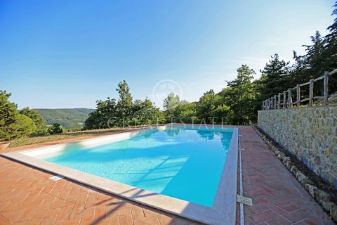 Il Monte 1 10 7265137 1160510402673938280