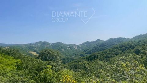 AZ245 - 112 hectares wooded farm with farmhouse and annexe 1 10 7400927 4369946749994194689