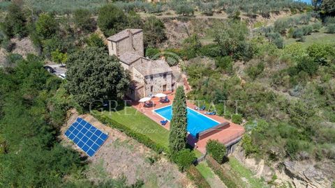 Pietra di Campagna 1 10 7592159 1765902029132757516