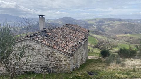 AZ199 - Azienda agricola biologica di 46,5 Ha con casale in pietra ed annesso 1 11 3907703 223903617238991943