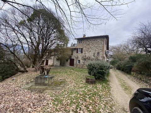 AZ192 - 34 hectares farm with stone farmhouse and several buildings 1 13 3135189 1083387302588091344