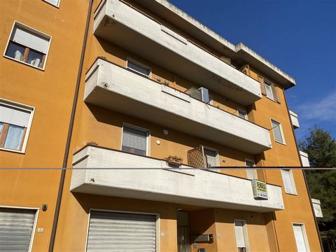 SI4128 - First floor flat with parking space, cellar and garden 1 13 3345804 1104523153057297374