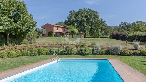 Il Basolato Romano 1 13 3815238 1959963046488606550