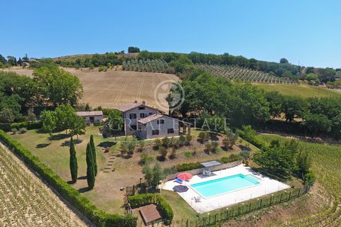 Il Poggio Verde 1 13 4155443 3269335250905299468