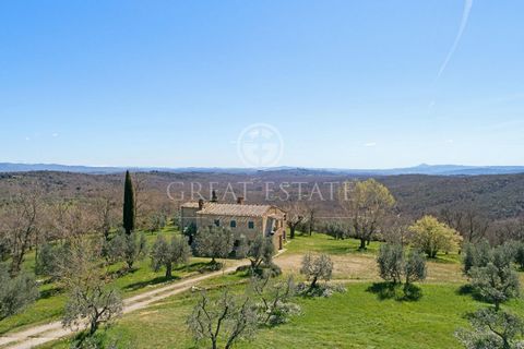 IL POGGIOLINO 1 13 5102743 94085692685800026