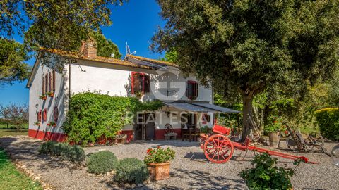 Il Rifugio in Maremma 1 13 8736060 405907409372832024