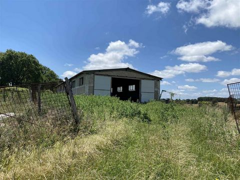 AZ148 - 50 Hectares farm with masonry barn for cattle breeding 1 14 3664771 1164709529069581745