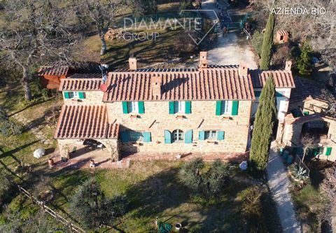 AZ320 - Organic agritourism and wine farm with farmhouse, flats, outbuildings and land 1 14 4122509 225707612904078745