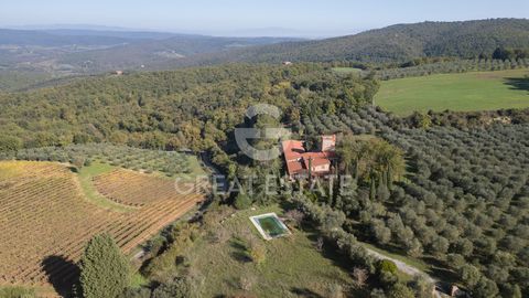 Podere Albedo 1 14 7533248 268959022613519766