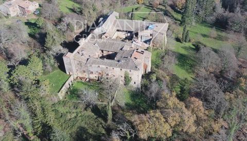 AZ351 - Ancient real estate complex with abbey, farmhouses, and land 1 14 7660893 122268923633639952