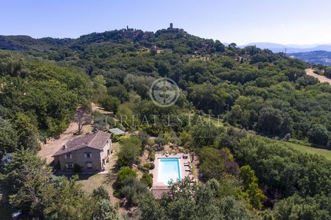 La Valle degli Ulivi 1 15 3531836 2888394695816886252