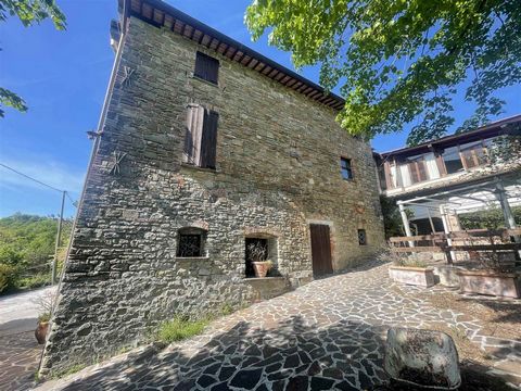AZ204 - Azienda agrituristica biologica di 102 Ha con due casali con camere , ristorante , annessi e laghetto 1 15 3863555 146309066334408084
