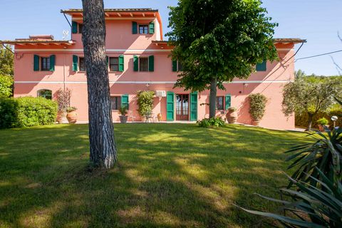 The Pink farmhouse 1 16 3685849 105469454866289927