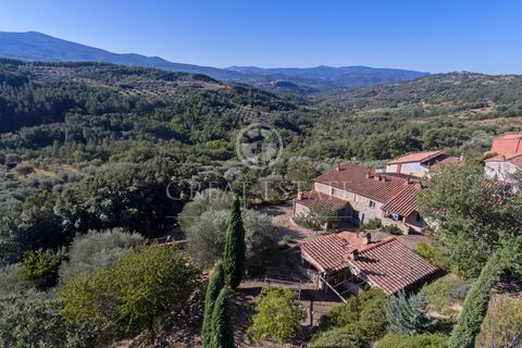 POGGIO LUNA 1 16 6432827 1815105407970683904