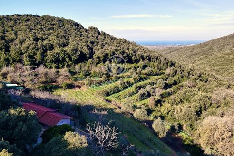 Podere Grotticelle 1 16 7343353 1308593451998697886