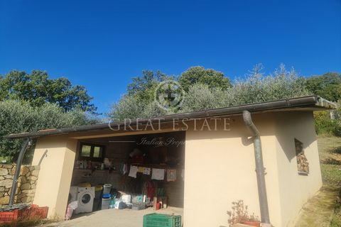 Podere Collina Bellavista 1 17 4074384 504526907292247060