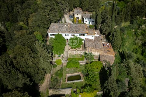 RINASCIMENTO NEL CHIANTI 1 17 4102891 1251170345477398241