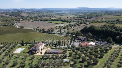Under the Tuscan Sun 1 17 5740899 526995877012381600