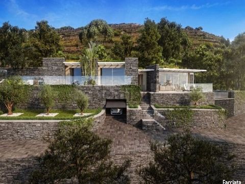 Casa di Vetro, Imperia, Liguria 1 17 7968203 1092306791627055840