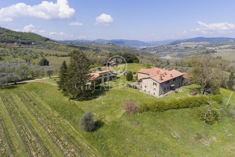 Tenuta Il Trebbio 1 18 3027223 1314862710617649249