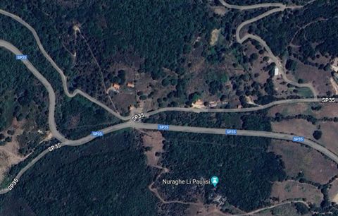 Excellent Plot of land for sale in Sardinia 1 18 4460799 281521503827437680