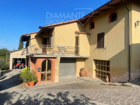 AZ235 - Azienda agricola con 8 ettari di terreno , casa indipendente ed annessi 1 18 5246182 1957461170455067526