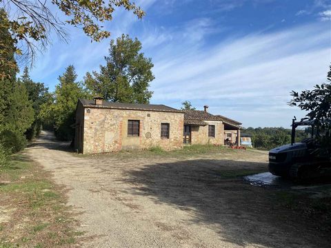 AZ184 - In the Chianti area, 206 hectares winery with farmhouses and buildings 1 19 3546919 459215983273789812