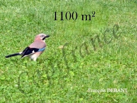19 3918087 94065299428632680