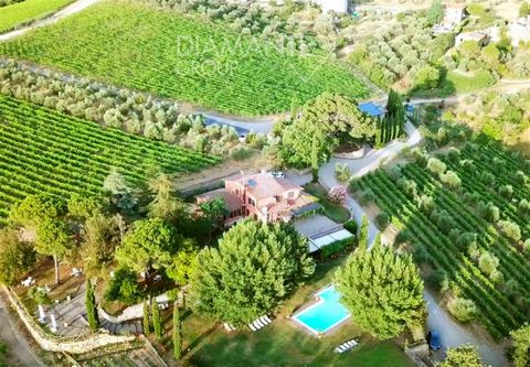 AZ321 - Organic and agritourism winery with farmhouses, winery and chianti classico docg vineyard 1 19 4287539 1970830225601223472