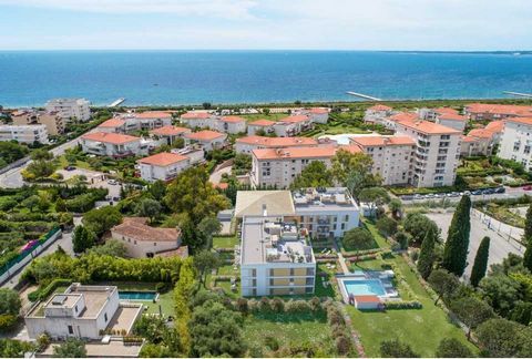 Modern and intimate residence with pool close to the beaches. 1 2 4152490 3589816238542224372