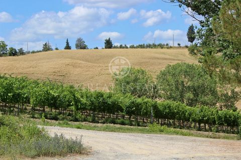 I Colli Fiorentini 1 20 3262647 478511046587771566
