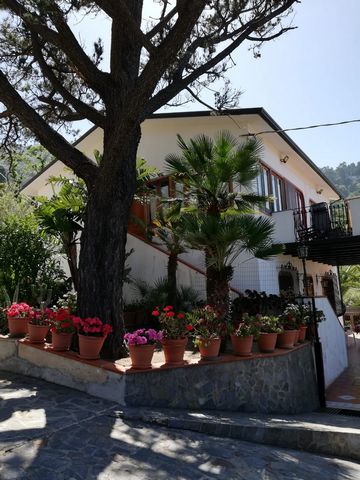 Casa Jare - Luxury villa in Gioiosa Marea with panoramic view of the Aeolian Islands 1 20 5879530 2191080595853933056