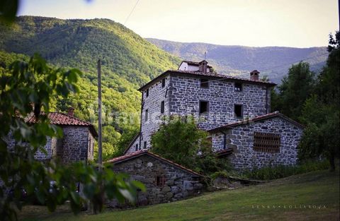 Il Vigno, Caprese Michelangelo, Tuscany 1 21 3759247 330930800006750215