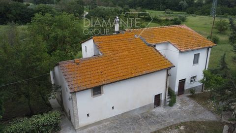 PN8750 - Casale in pietra con fondi, tre annessi con terreno ad oliveto 1 21 3877351 27582744419548158