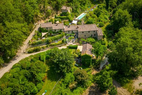 IL RUSCELLO DEL CHIANTI 1 22 4185237 3471167024182469920